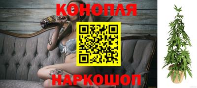 винт Будённовск