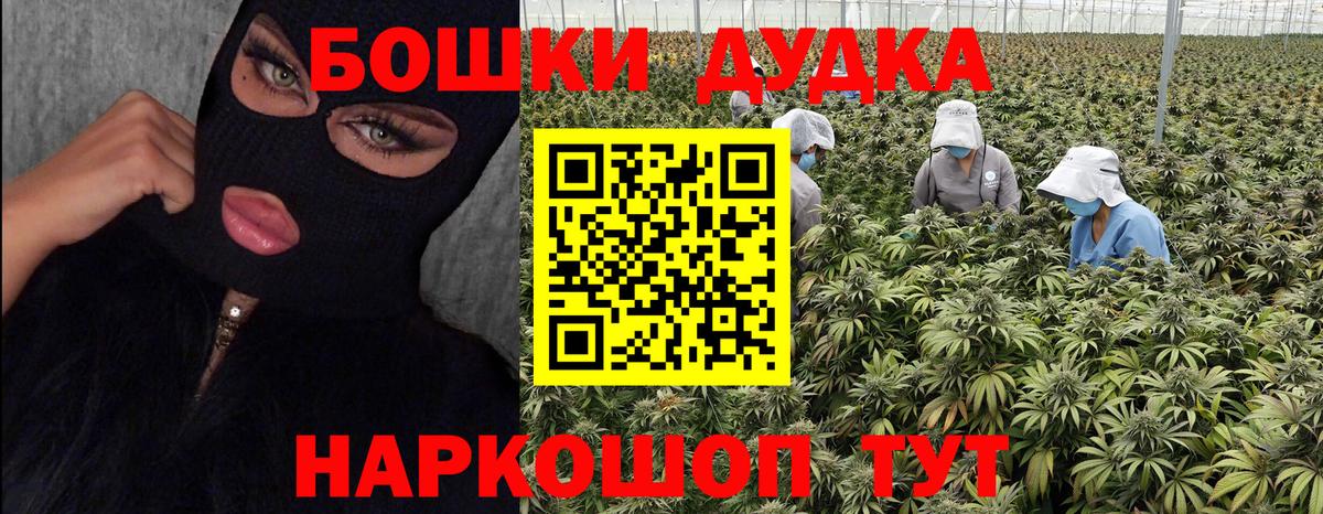 Конопля сатива Салават